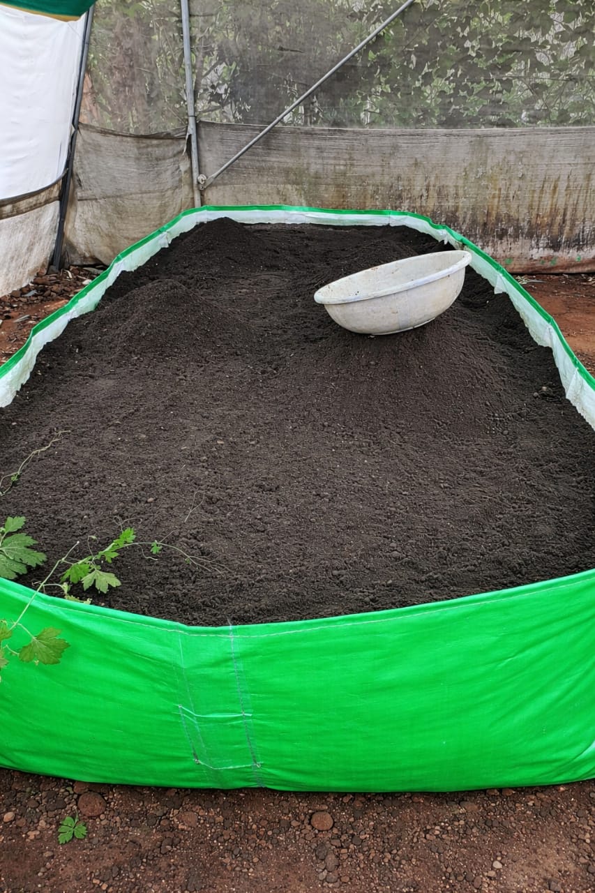 Vermicompost